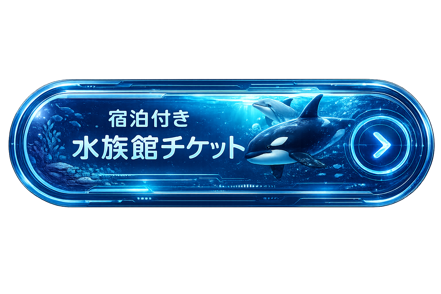 宿泊付きチケット