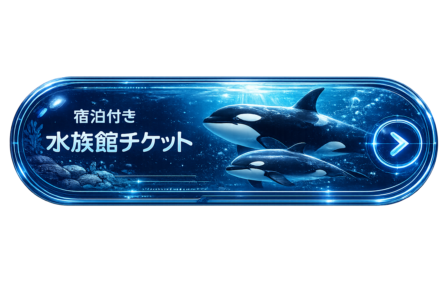 宿泊付きチケット